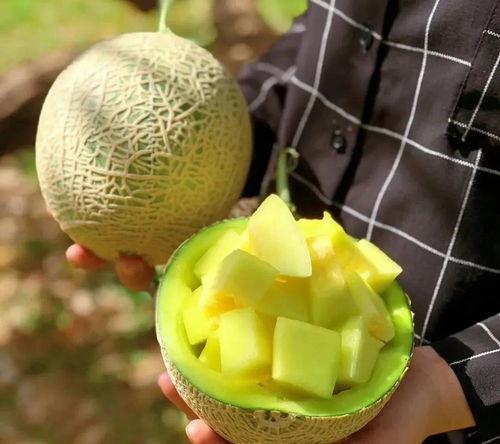 娱乐吃瓜的瓜,揭秘明星幕后故事