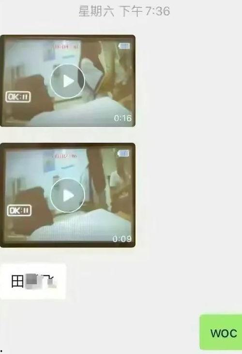 河北衡水爆料视频,揭秘背后真相